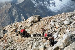 14 Yaks OnTrail Near Langma La.jpg